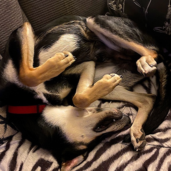 Moi - Picture 5 of 6